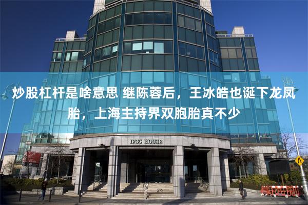 炒股杠杆是啥意思 继陈蓉后，王冰皓也诞下龙凤胎，上海主持界双胞胎真不少