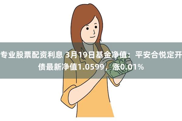 专业股票配资利息 3月19日基金净值：平安合悦定开债最新净值1.0599，涨0.01%