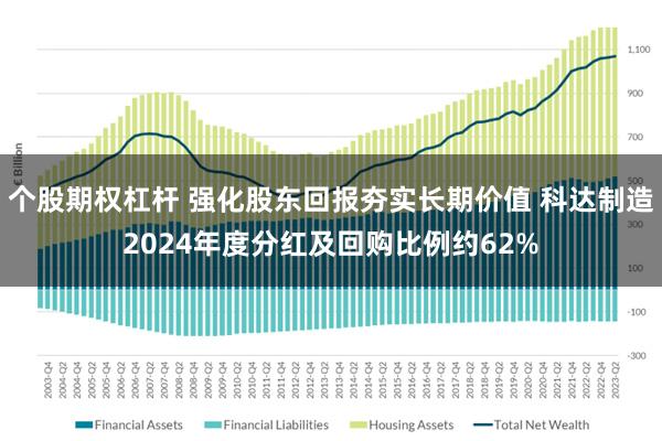 个股期权杠杆 强化股东回报夯实长期价值 科达制造2024年度分红及回购比例约62%
