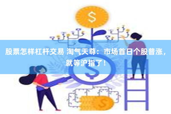 股票怎样杠杆交易 淘气天尊：市场首日个股普涨，就等沪指了！