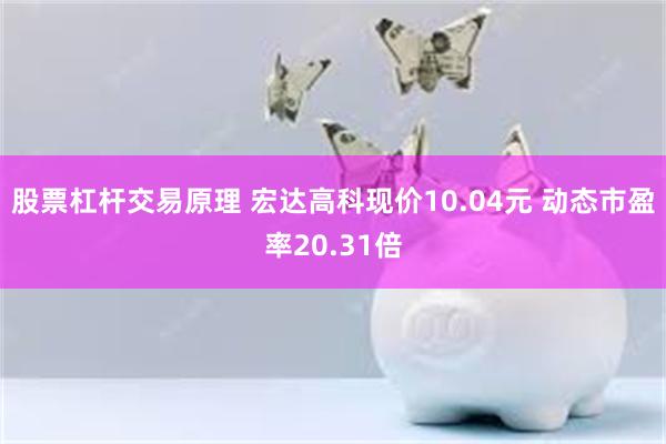 股票杠杆交易原理 宏达高科现价10.04元 动态市盈率20.31倍