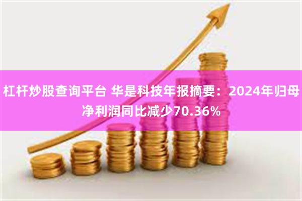 杠杆炒股查询平台 华是科技年报摘要：2024年归母净利润同比减少70.36%