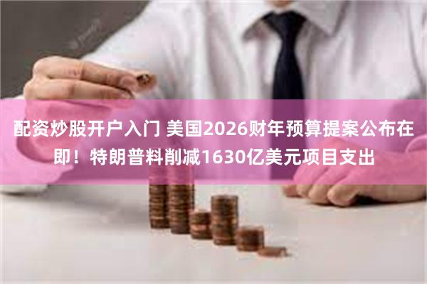 配资炒股开户入门 美国2026财年预算提案公布在即！特朗普料削减1630亿美元项目支出