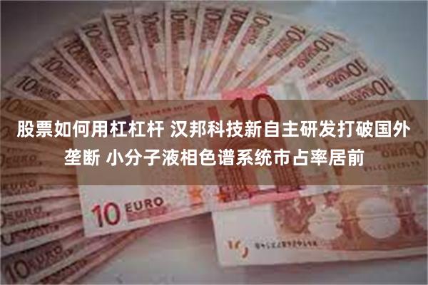 股票如何用杠杠杆 汉邦科技新自主研发打破国外垄断 小分子液相色谱系统市占率居前