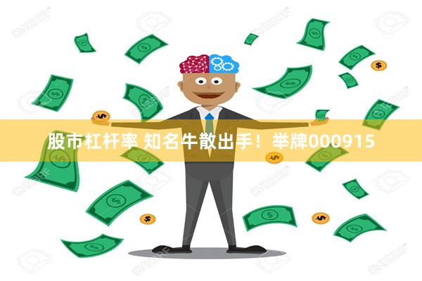 股市杠杆率 知名牛散出手！举牌000915